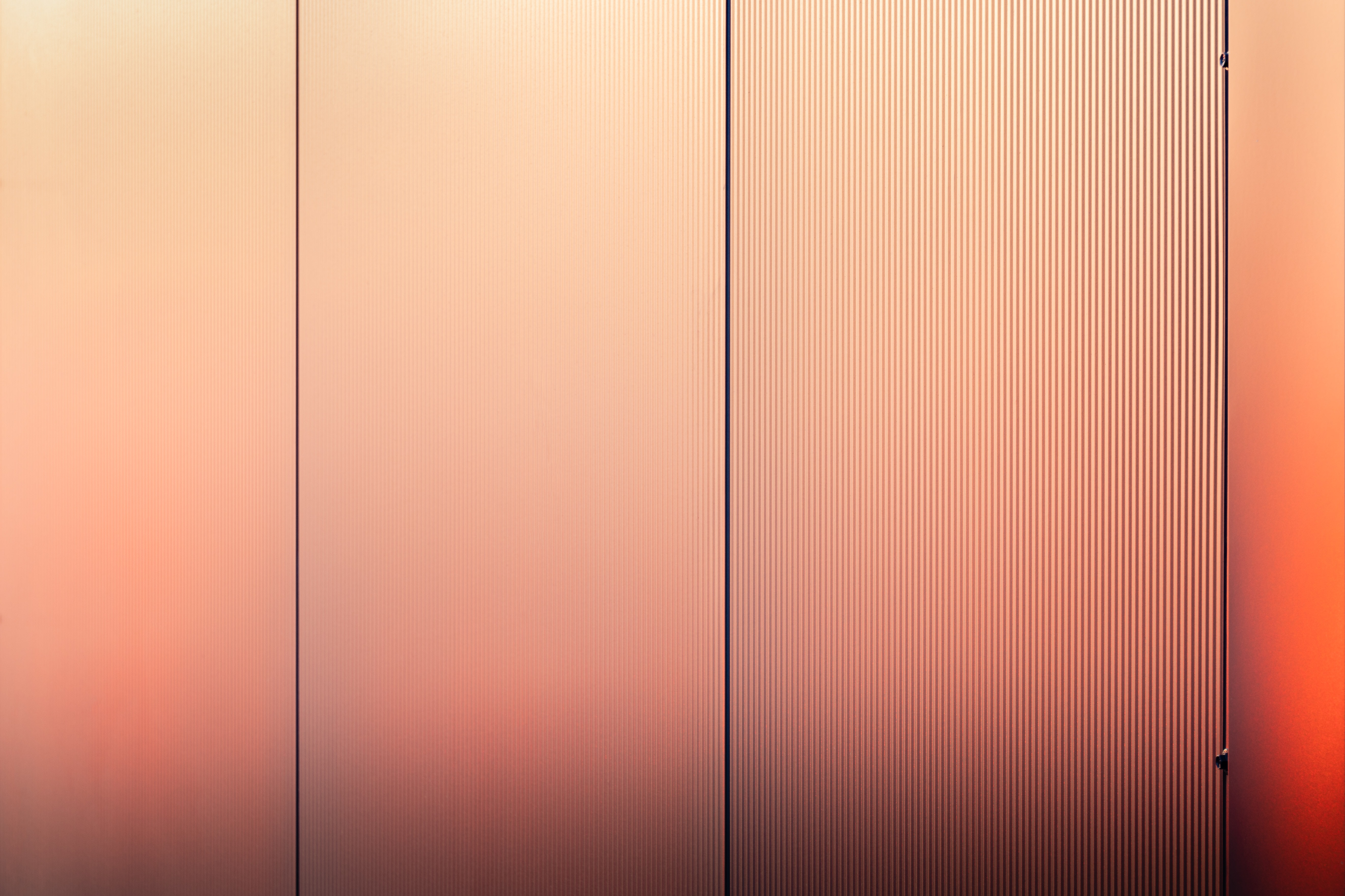 Patentanwaltsanwärter - Eintragungsvoraussetzungen, Rechte und Pflichten