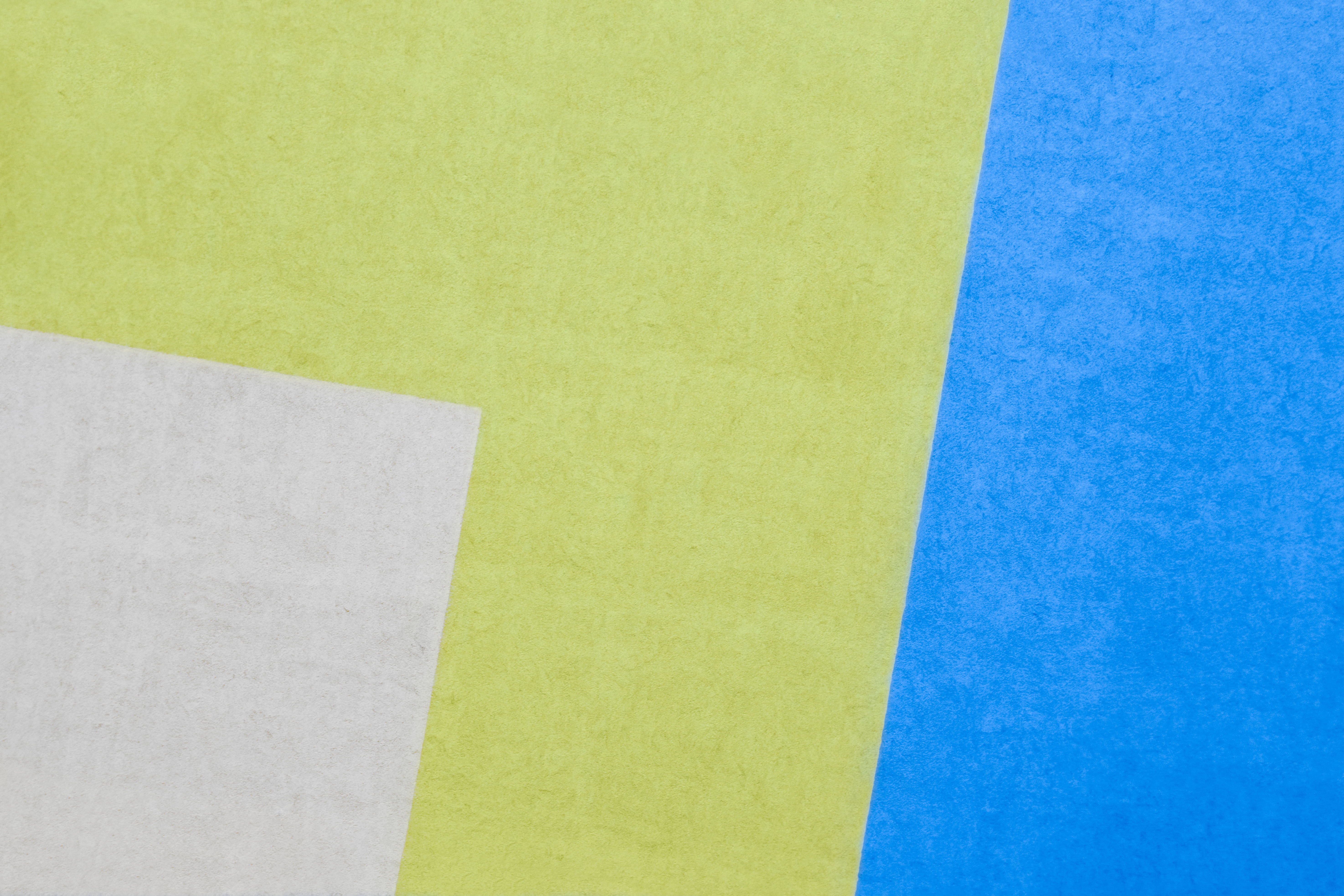 Anfechtungsverfahren