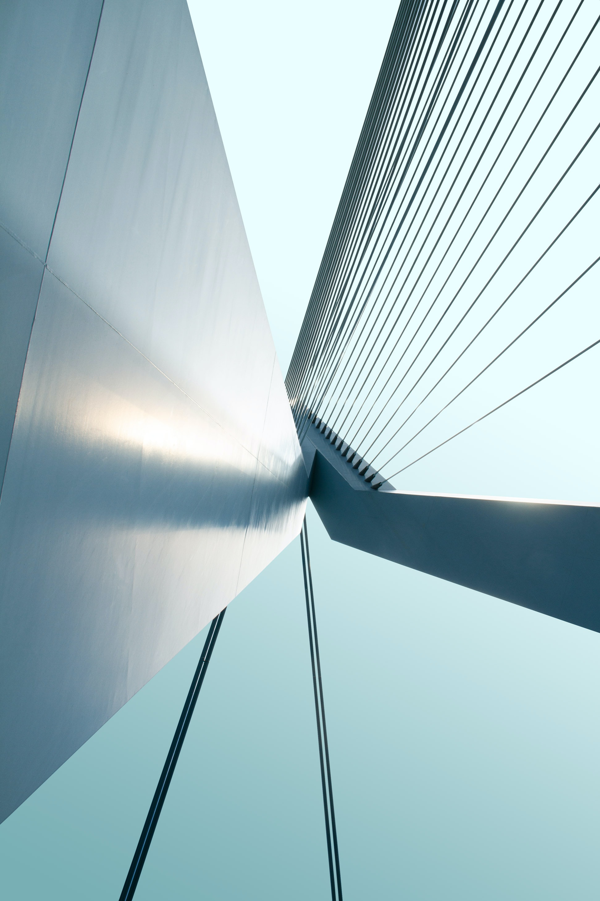 Rechtsmittelverfahren - Anfechtung von Entscheidungen des Patentamts bei den Gerichten