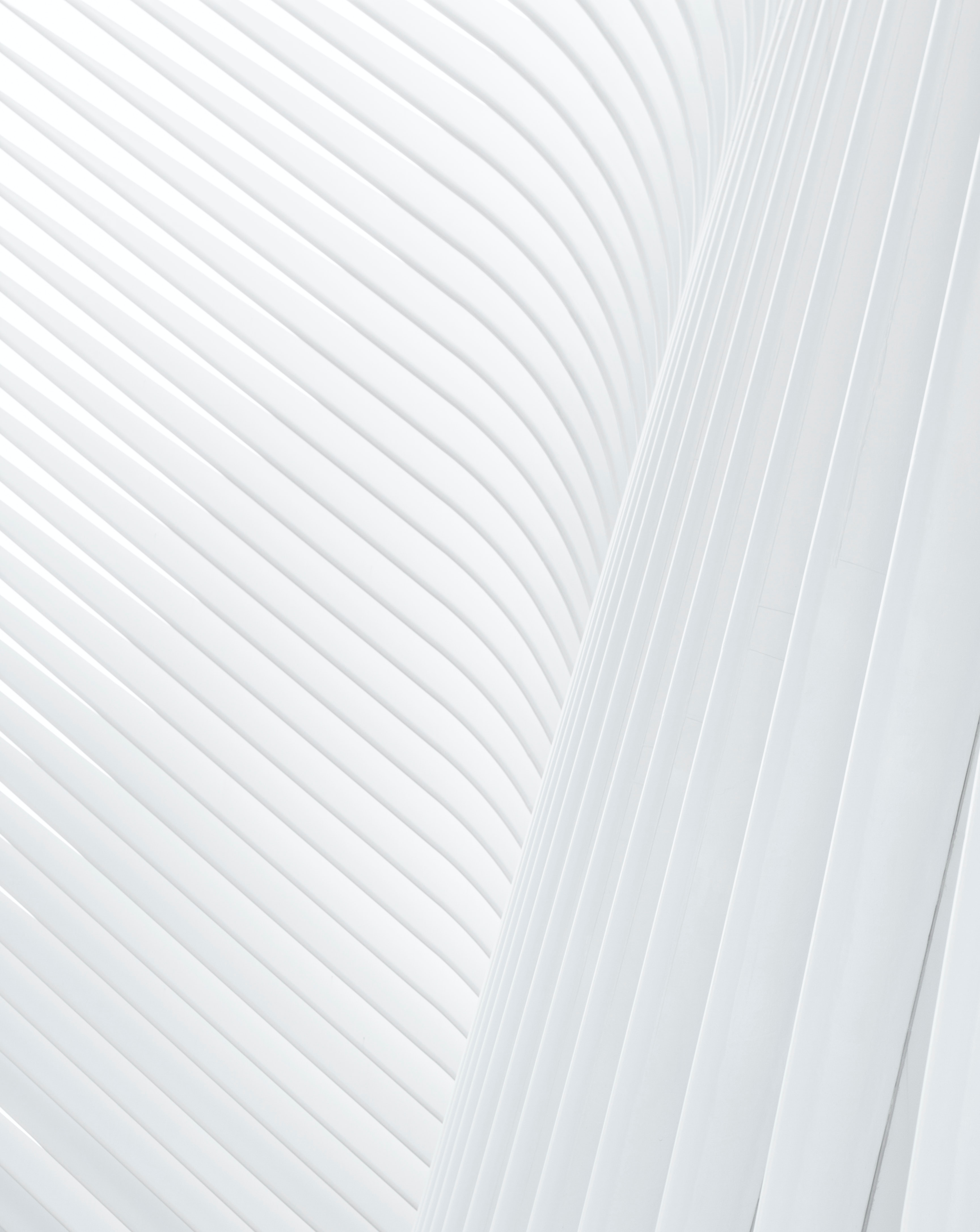 Verfahren vor dem EUIPO - Durchsetzung von Marken- und Designrechten